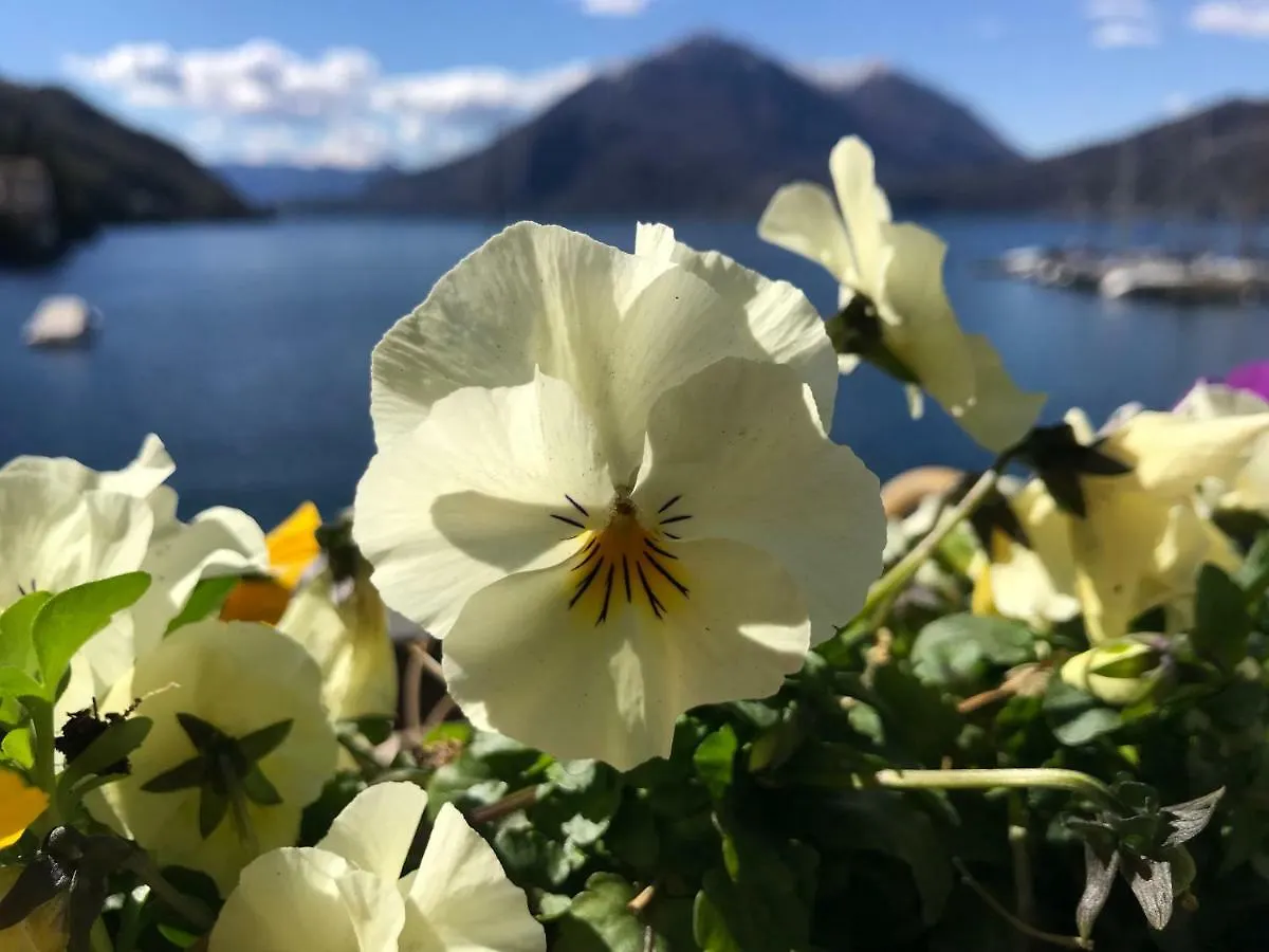 Gæstehus Gli Oleandri Hotel Bellano